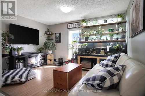 17 Shaw Avenue W, Cambridge, ON - Indoor Photo Showing Living Room With Fireplace