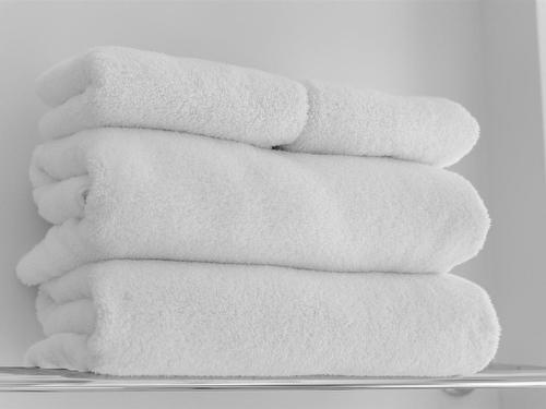 59 Dorchester Street, Charlottetown, PE 