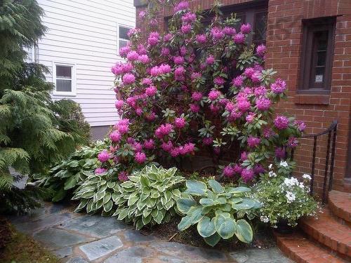 1950 Connaught Avenue, Halifax, NS 