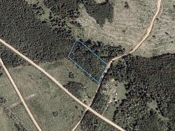 John D MacDonald Road  Judique South, NS B0E 1P0