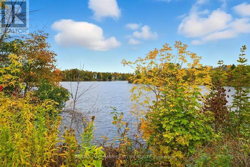 242 Dublin Street, Peterborough (Town Ward 3), ON - Outdoor With View