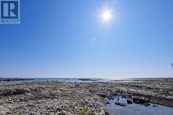 Summer-time shoreline - 