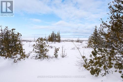 159 Zorra Drive, Northern Bruce Peninsula, ON - Outdoor With View