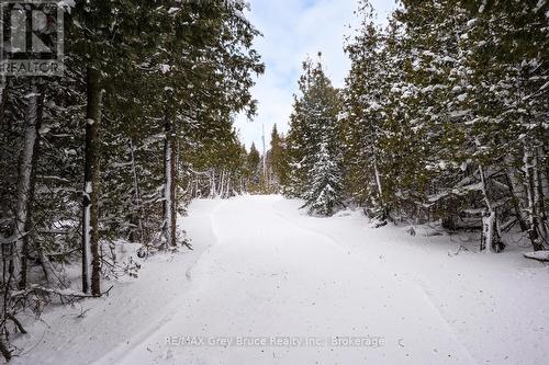 159 Zorra Drive, Northern Bruce Peninsula, ON - Outdoor