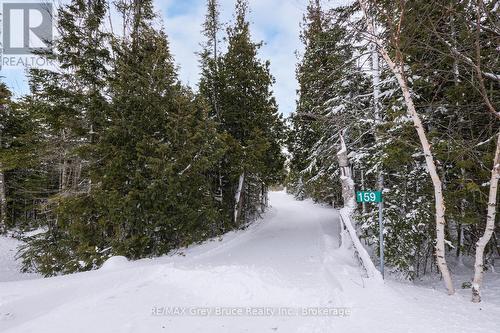 159 Zorra Drive, Northern Bruce Peninsula, ON - Outdoor