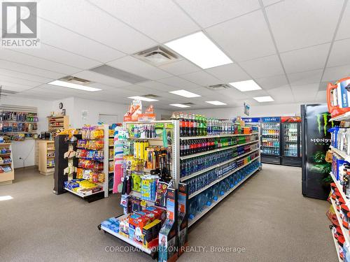 7384 Highway 6, Northern Bruce Peninsula, ON 