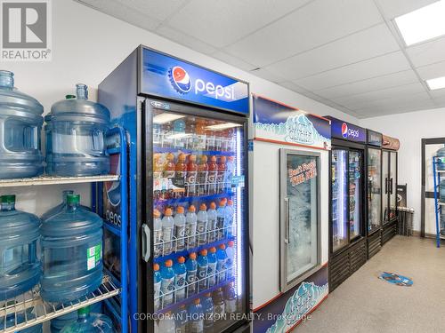 7384 Highway 6, Northern Bruce Peninsula, ON 