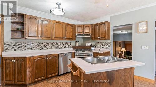 41 Queen Street, Strathroy-Caradoc (Se), ON - Indoor Photo Showing Kitchen With Double Sink