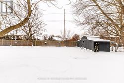 back yard - 