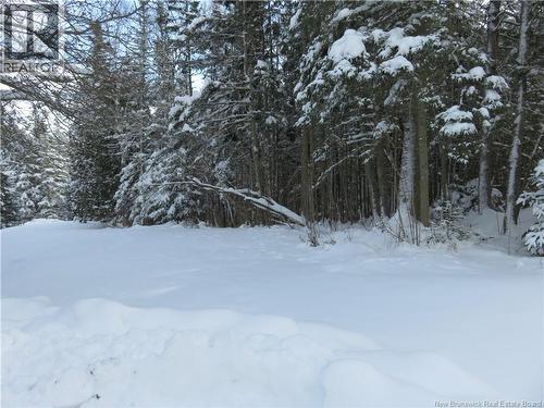 110 Model Farm Road, Quispamsis, NB - Outdoor