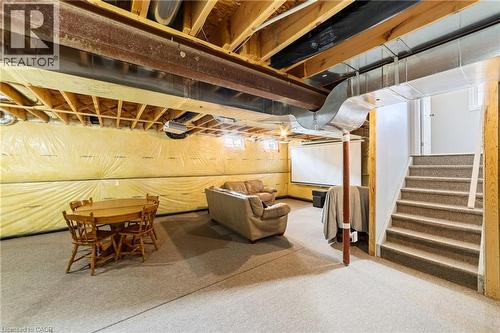 4 Tinlin Drive, Binbrook, ON - Indoor Photo Showing Basement