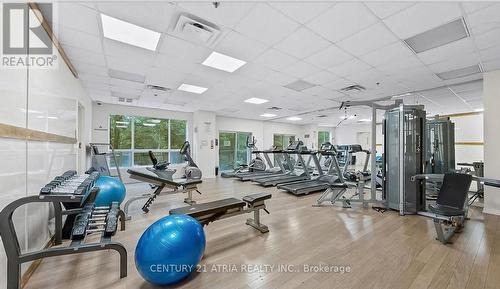 118 - 8 Maison Parc Court, Vaughan, ON - Indoor Photo Showing Gym Room