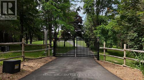 17088 Horseshoe Hill Road, Caledon, ON - Outdoor