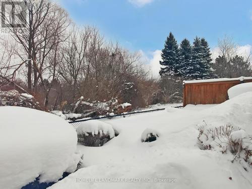 156 Pressed Brick Drive, Brampton, ON - Outdoor