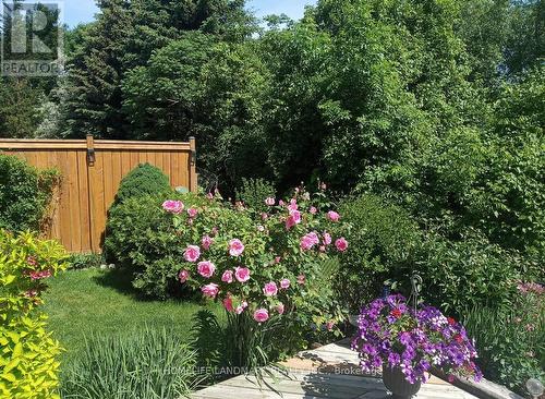 156 Pressed Brick Drive, Brampton, ON - Outdoor