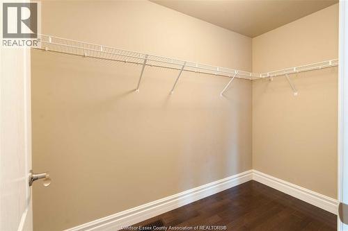 1078 Charlotte Crescent, Lakeshore, ON - Indoor With Storage