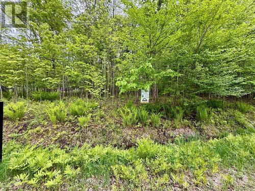 23 Maple Ridge Road, Nipissing, ON - Outdoor