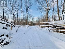 Looking down the driveway to Maple Ridge - 
