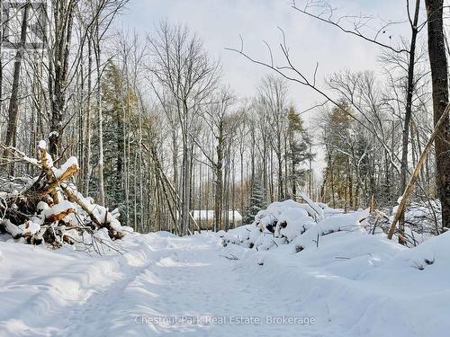 Looking up the driveway to the future house - 23 Maple Ridge Road, Nipissing, ON - Outdoor With View
