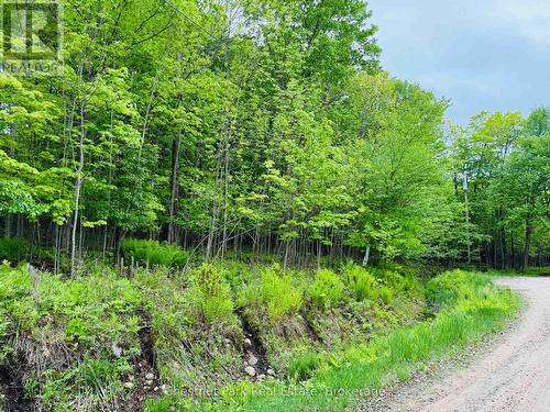 23 Maple Ridge Road, Nipissing, ON - Outdoor