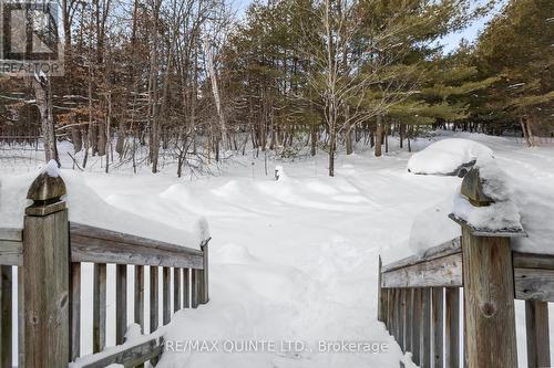 597 Harold Road, Stirling-Rawdon (Rawdon Ward), ON - Outdoor