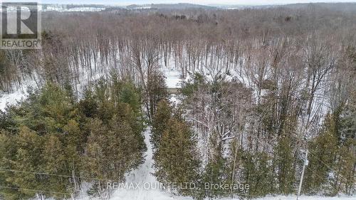 597 Harold Road, Stirling-Rawdon (Rawdon Ward), ON - Outdoor With View
