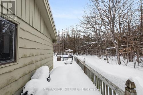 597 Harold Road, Stirling-Rawdon (Rawdon Ward), ON - Outdoor