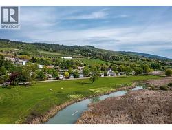 Aerial view, access to the lake - 