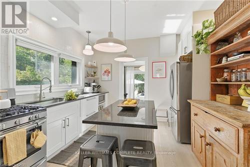 48 Liberty Street, Hamilton, ON - Indoor Photo Showing Kitchen With Upgraded Kitchen