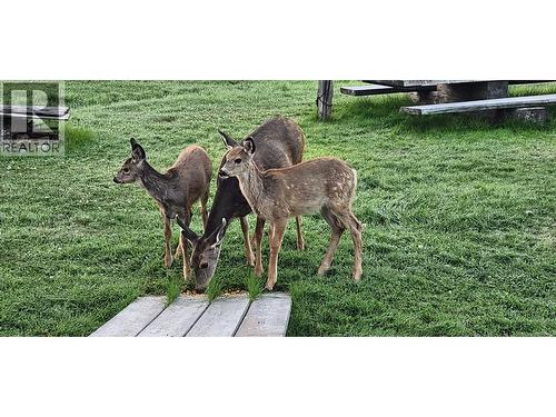 6493 Mcmillan Road, 100 Mile House, BC 