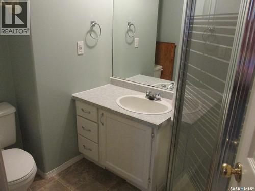 613 9Th Avenue W, Nipawin, SK - Indoor Photo Showing Bathroom