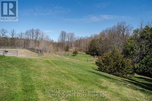 252 Maines Road, Tweed (Hungerford (Twp)), ON - Outdoor With View