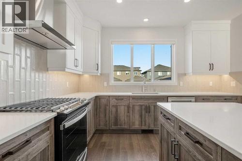 110 Wolf Creek Rise Se, Calgary, AB - Indoor Photo Showing Kitchen With Upgraded Kitchen