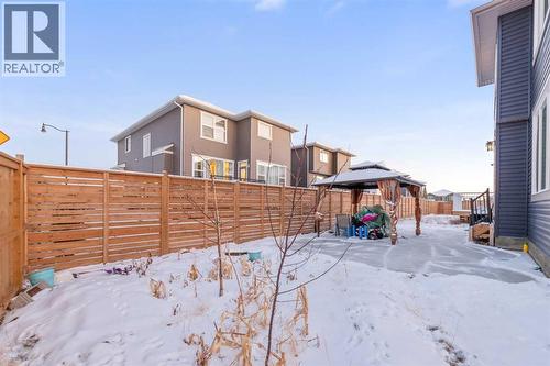 208 Dawson Circle, Chestermere, AB - Outdoor