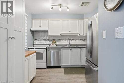 31 Galileo Boulevard, Brantford, ON - Indoor Photo Showing Kitchen With Double Sink