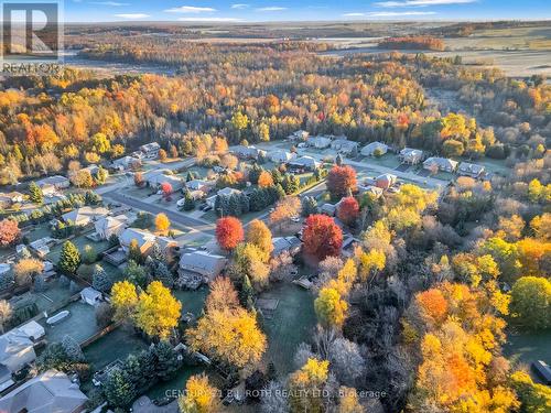 10 Brian Crescent, Adjala-Tosorontio, ON - Outdoor With View