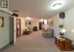 Lower level living room - 