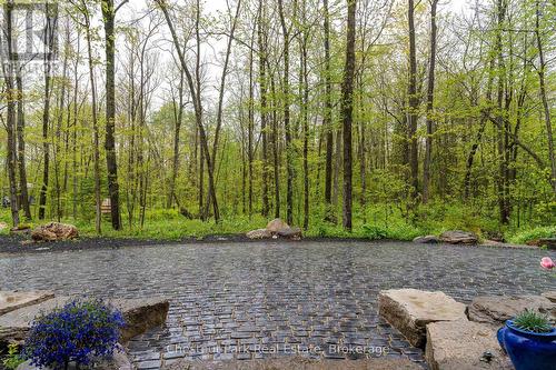 583724 Sideroad 60, Chatsworth, ON - Outdoor With Body Of Water With View