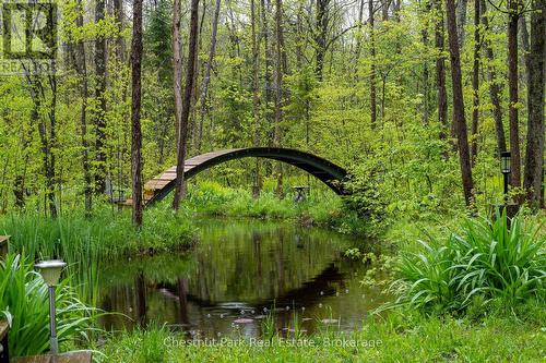 583724 Sideroad 60, Chatsworth, ON - Outdoor