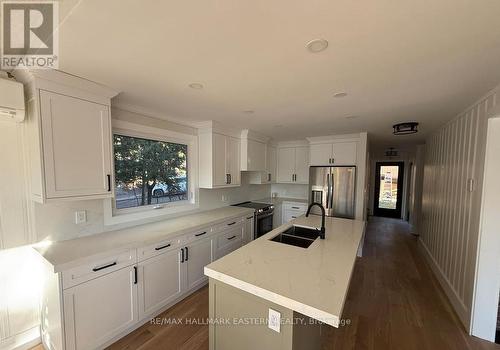 326 Indian Point Road, Kawartha Lakes (Bexley), ON - Indoor Photo Showing Kitchen With Double Sink