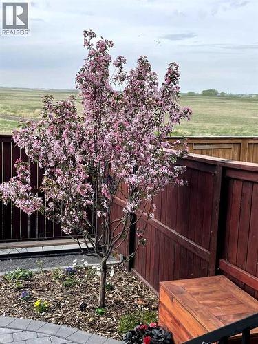 153 Williamstown Park Nw, Airdrie, AB - Outdoor