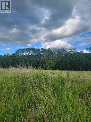 70 Ave 98 Street, Peace River, AB 