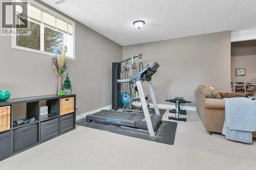 35276 Range Road 10 - 110, Rural Red Deer County, AB - Indoor Photo Showing Gym Room
