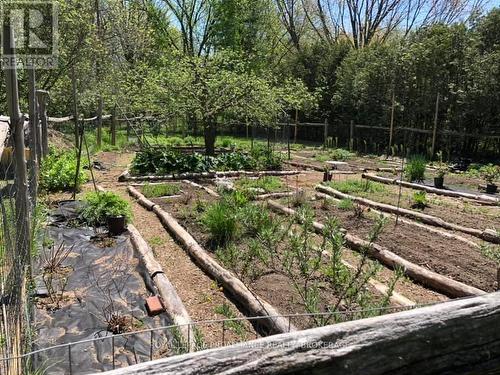 6014 Main Street, Frontenac (Frontenac South), ON - Outdoor