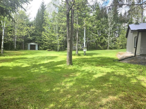 Cour - 116 Ch. Des Pins, Lambton, QC - Outdoor