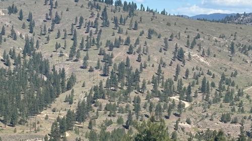 Dl 2514S, Penticton, BC 