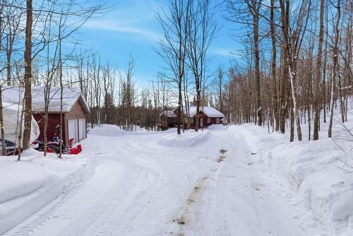 Cour - 180 Ch. Des Libellules, Mayo, QC - Outdoor With View