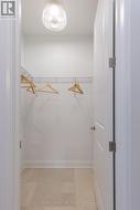 Absolutely Huge Walk-in Hallway Closet - 