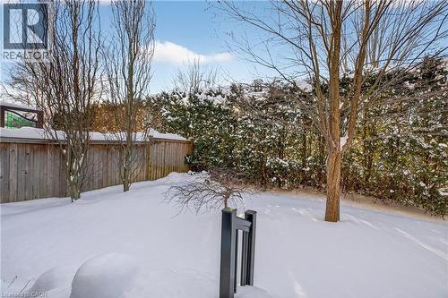 27 Black Walnut Crescent, Ancaster, ON - Outdoor