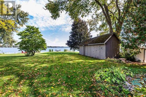 Oversized Garden shed In Backyard - 61 Druan Drive, Kawartha Lakes (Mariposa), ON - Outdoor